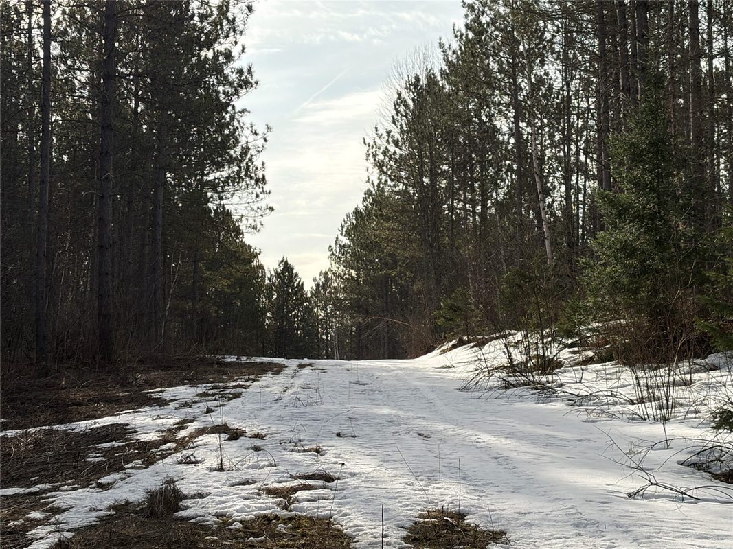 ON Barker Lake Road, Winter WI 54896 - Land house for sale - MLS #1599276 - image7