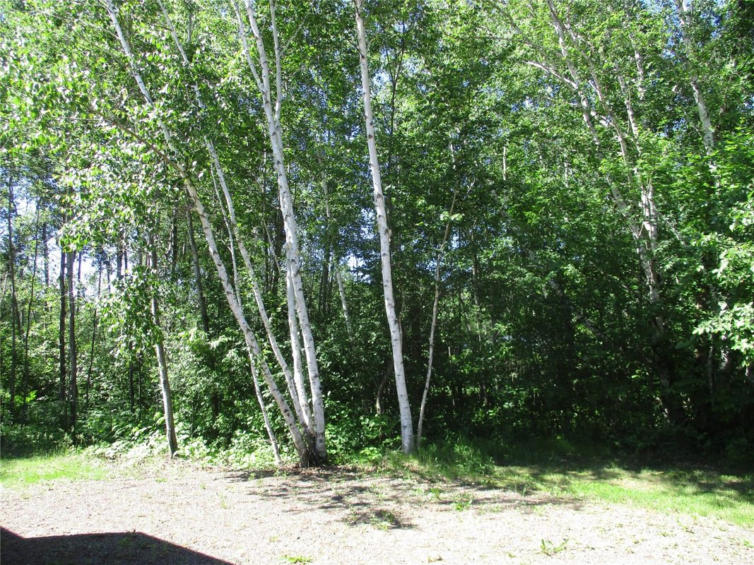 2884 29 7/8 Avenue, Birchwood WI 54817 - Land house for sale - MLS #1602244 - image10