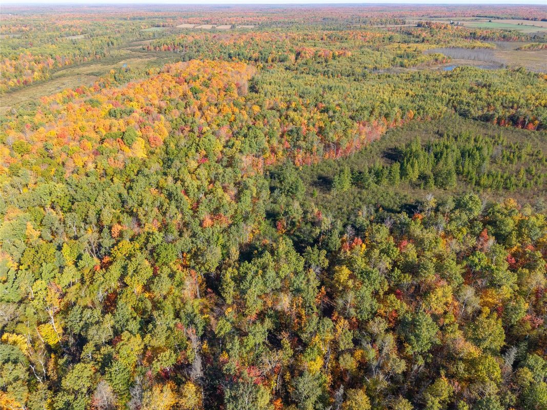 5 Acres Aggie Lane, Ladysmith WI 54848 - Land house for sale - MLS #1605699 - image10