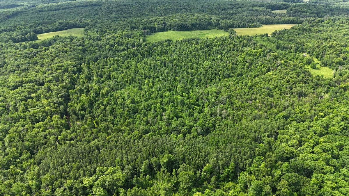 XXX Eckel Lane, Couderay WI 54835 - Land house for sale - MLS #1603143 - image15