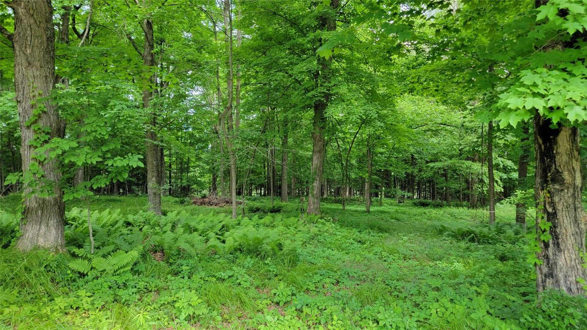 W7724 Bingham Road, Ladysmith, WI