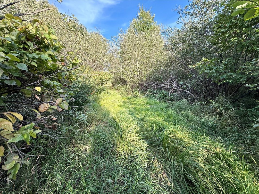 XX County Rd N, Kennan WI 54537 - Land house for sale - MLS #1605049 - image18