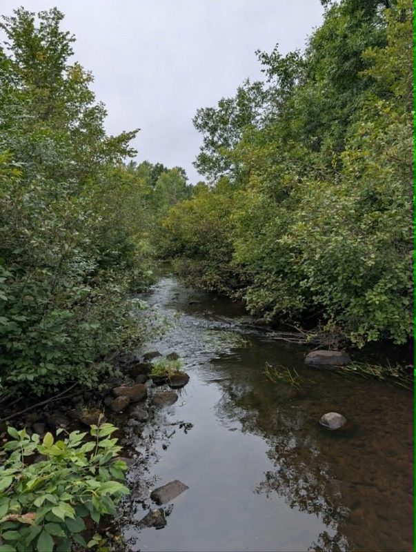 10501 County Hwy M Highway, Springbrook WI 54875 - Land house for sale - MLS #1604696 - image10