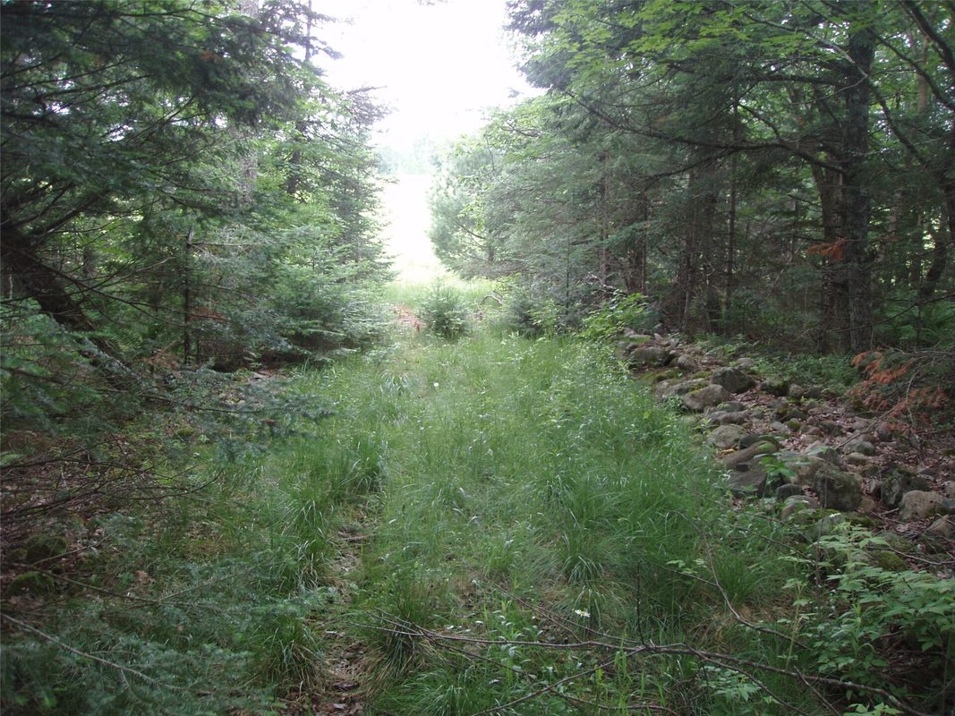 N16798 Bass Lake Road, Butternut WI 54514 - Residential house for sale - MLS #1603059 - image31