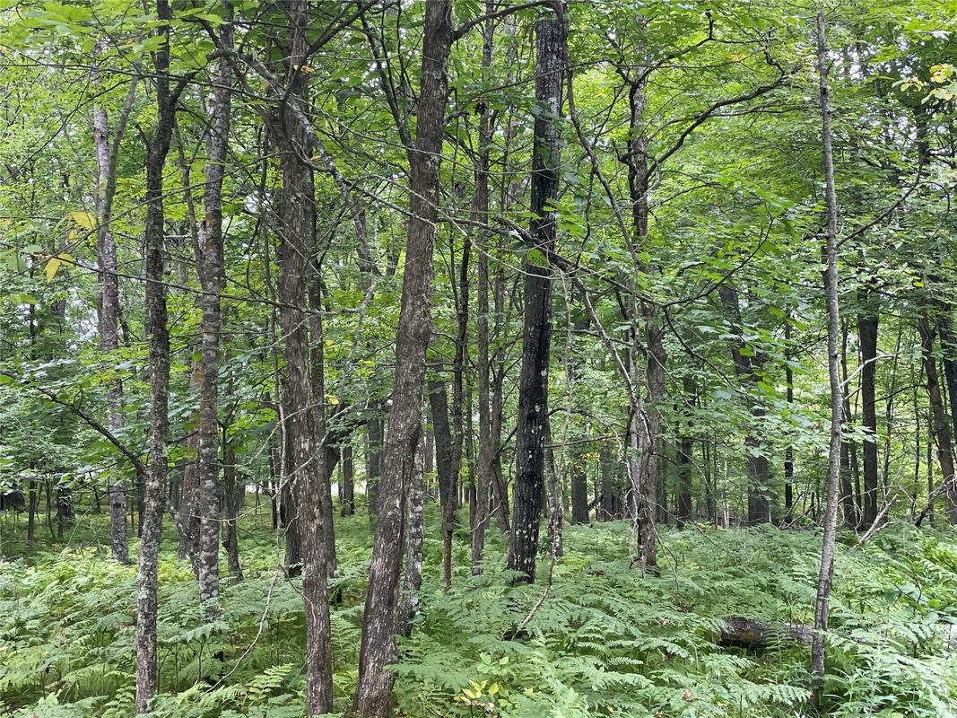 Lot 9 Hermosa Lane, Hayward, WI — photo 9
