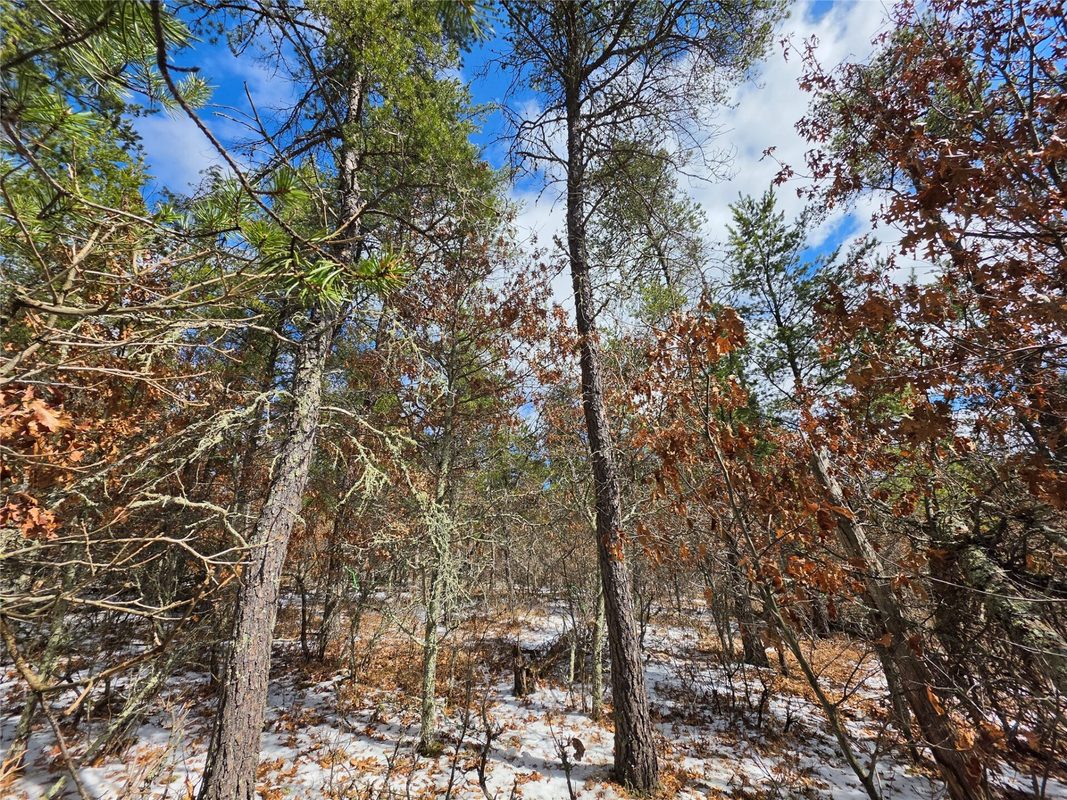 9075 W Wood Duck Lane Minong WI 54859 — photo 5