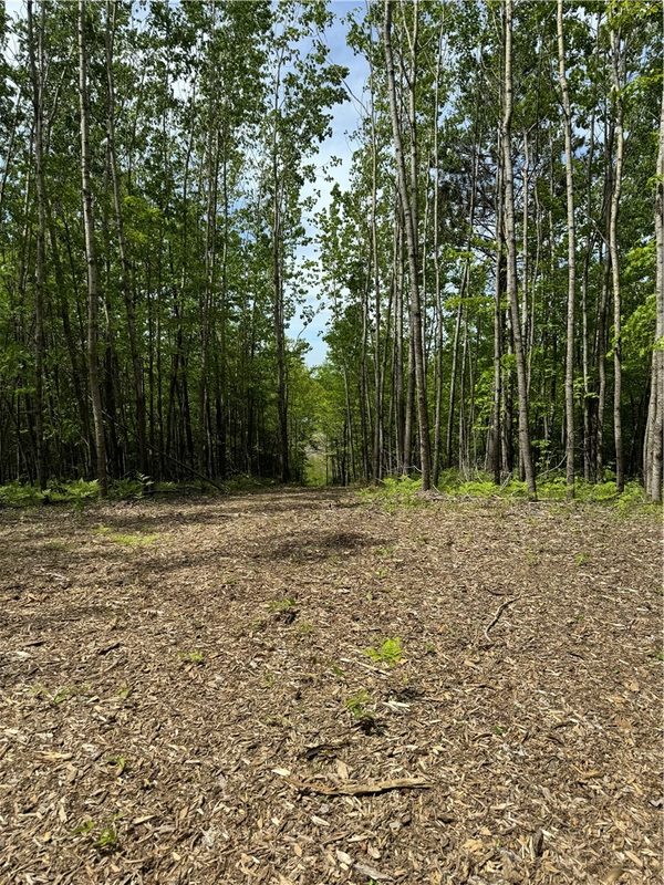 Lot 4 Fox Ridge Pass, Danbury, WI — photo 14