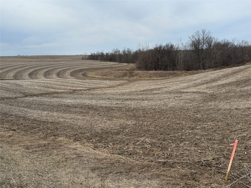 TBD County Road JJ Stockholm WI 54769 — photo 12