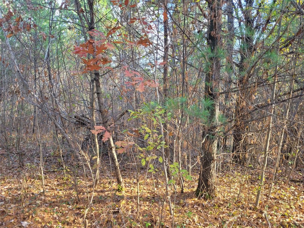N10835 Kovar Road, Merrillan WI 54741 - Land house for sale - MLS #1606219 - image3