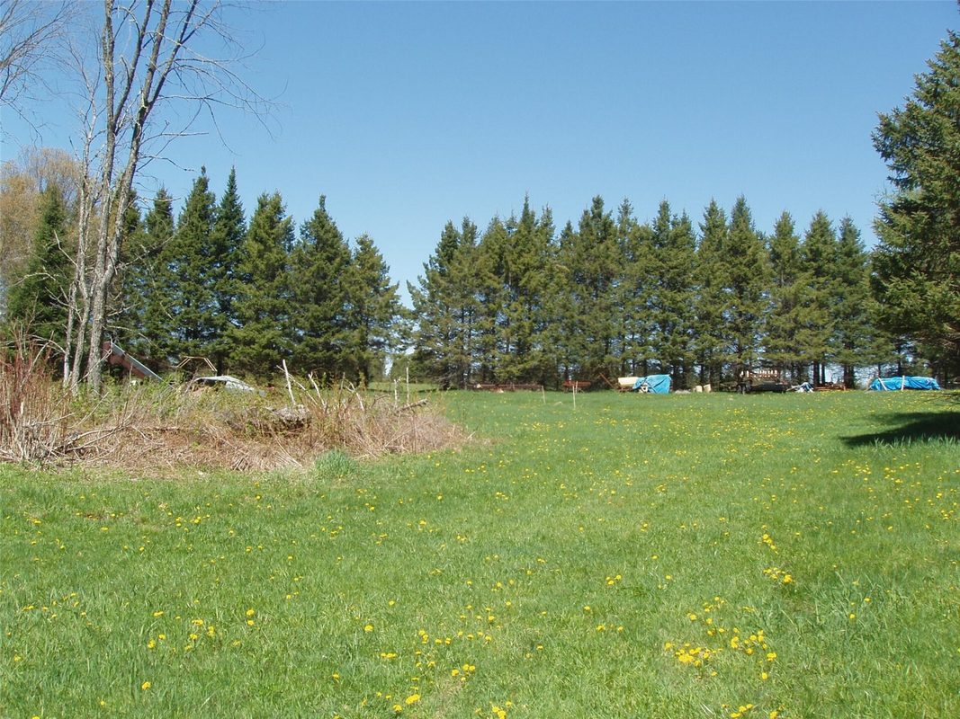 120 +/- Acres Off County Highway N, Glidden WI 54527 - Land house for sale - MLS #1601094 - image2