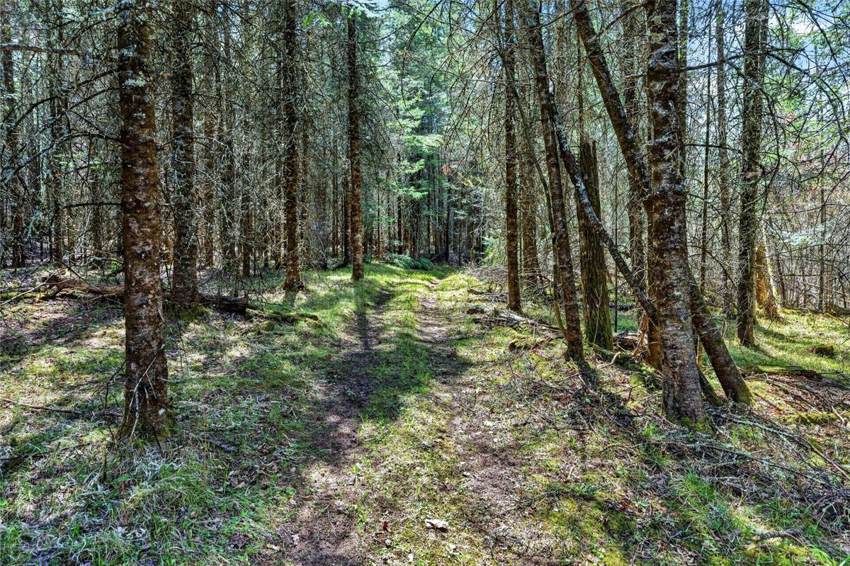 8225 Blaisdell Lake Road, Winter WI 54896 - Land house for sale - MLS #1600828 - image18