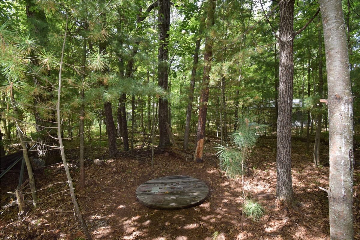 6703 Jamesway Road, Siren WI 54872 - Land house for sale - MLS #1604789 - image10