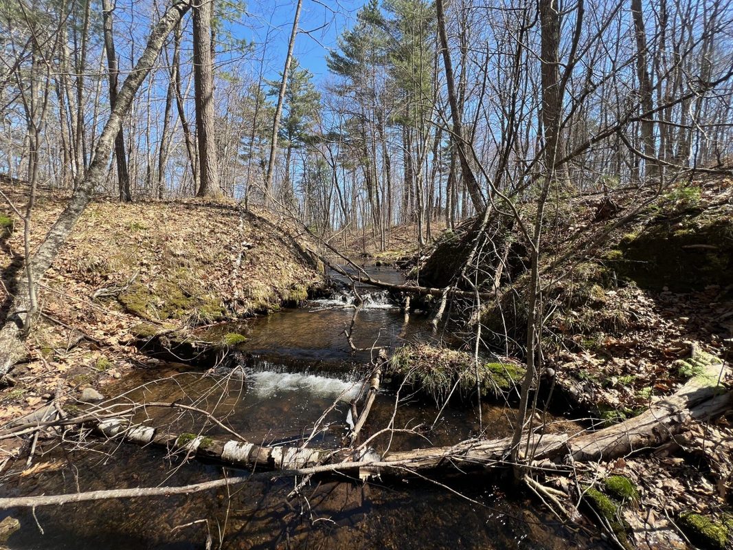 TBD Red Oak Lane, Stone Lake, WI — photo 5