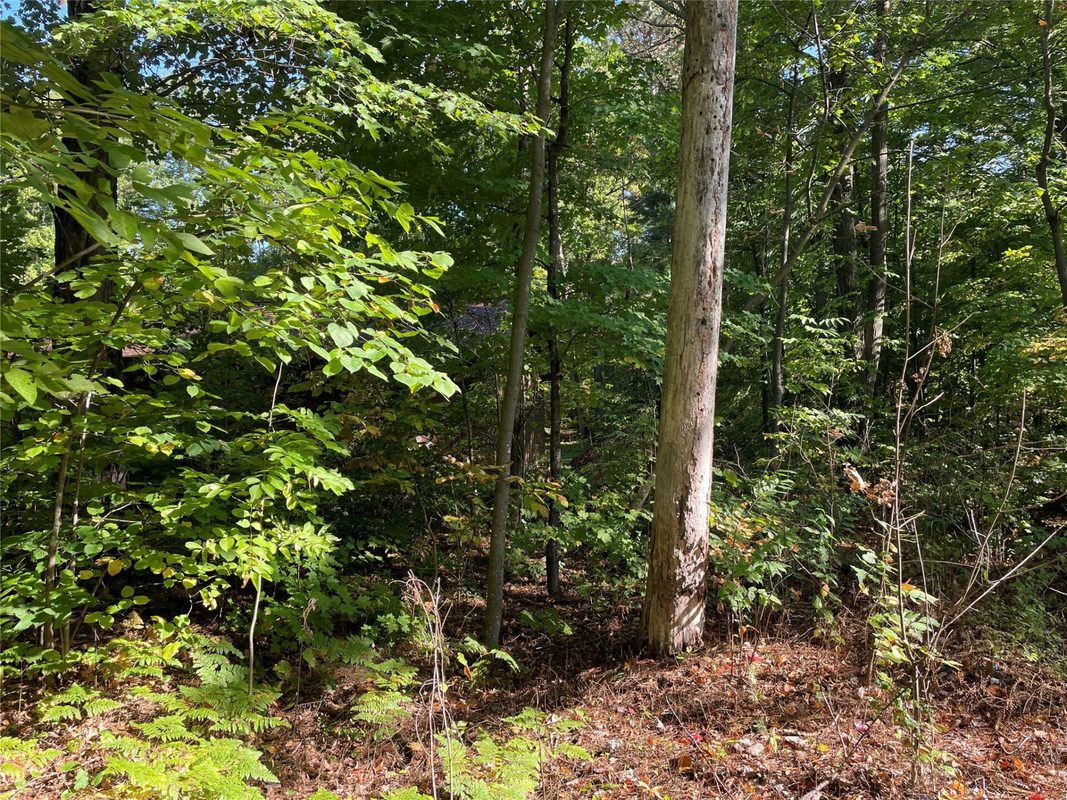 6073 Elsie Road, Stone Lake WI 54876 - Land house for sale - MLS #1602616 - image38