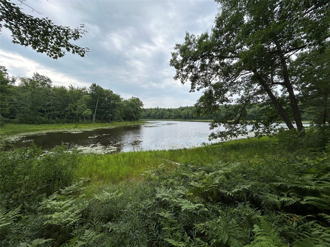 On Strabel Road, Stone Lake WI 54876 - Land house for sale - MLS #1604177 - image7
