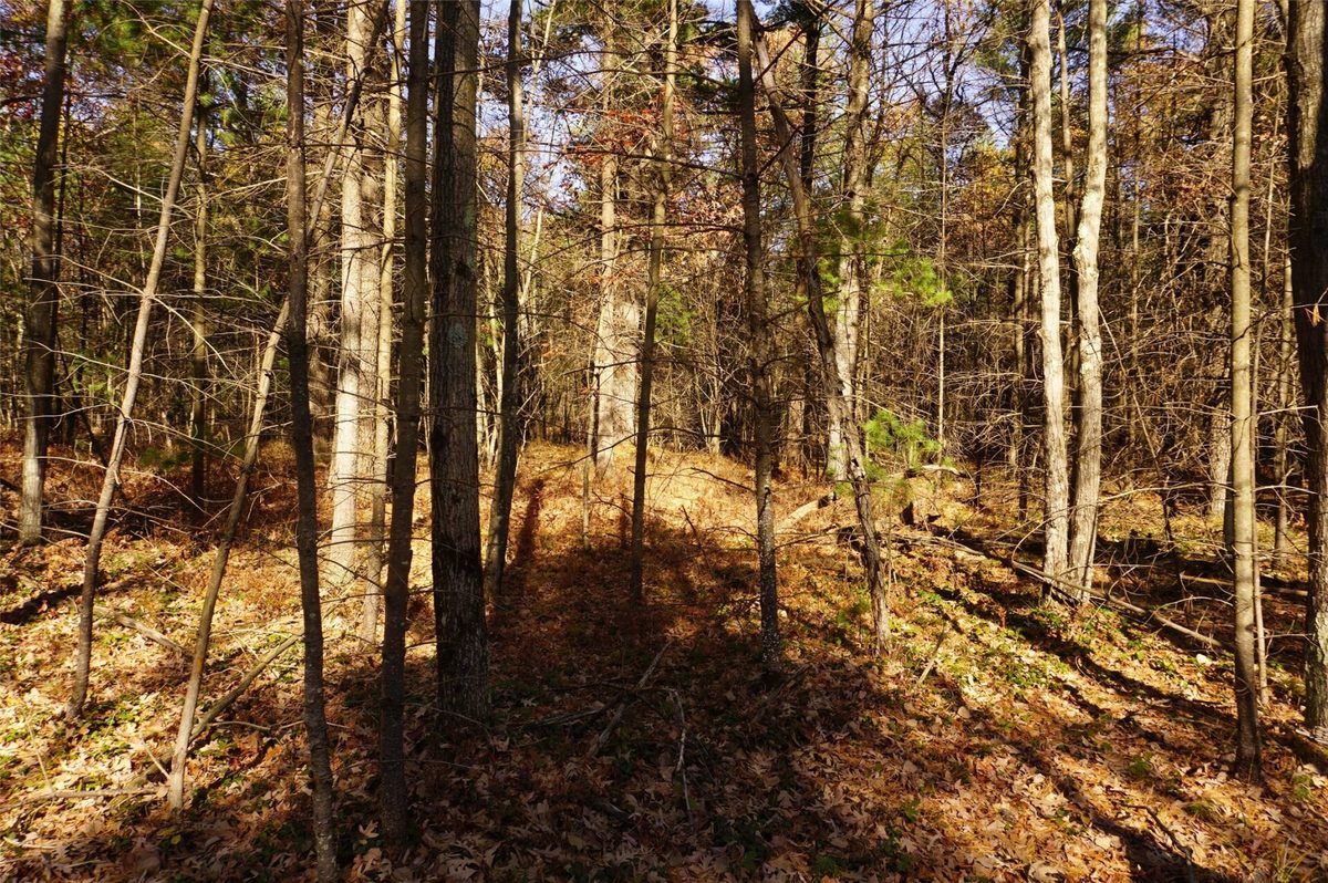 Lot 6 County Road J, Neillsville WI 54456 - Land house for sale - MLS #1606165 - image3