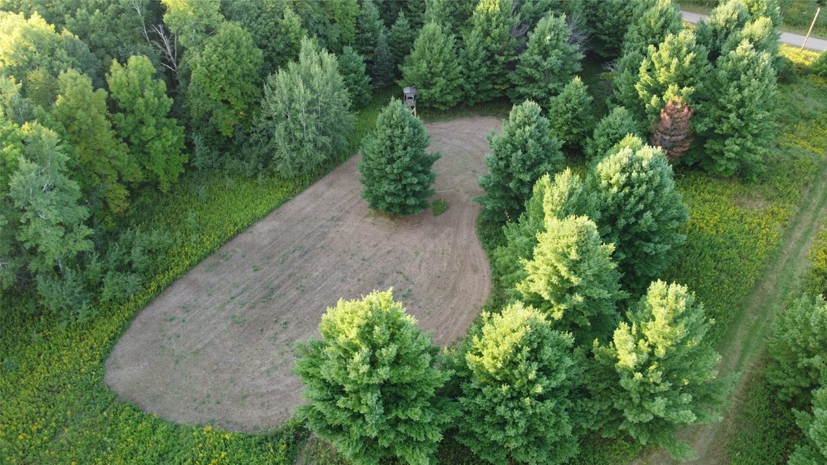 xxx 340th Avenue, Lewis WI 54837 - Land house for sale - MLS #1604783 - image6