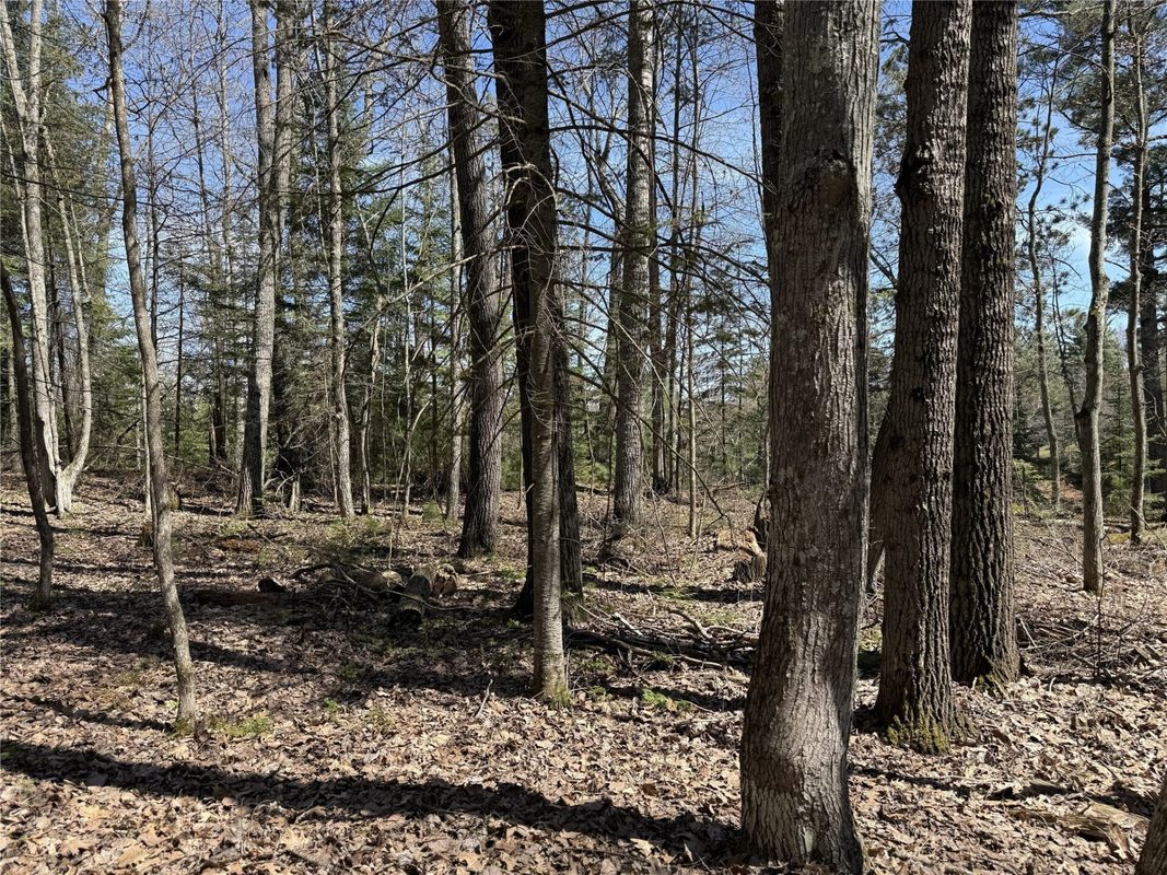 14667 W Point Drive, Hayward, WI — photo 2