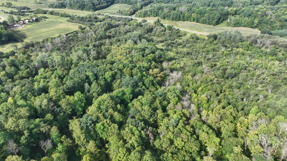 XX County Rd O, Boyceville WI 54725 - Land house for sale - MLS #1604881 - image26