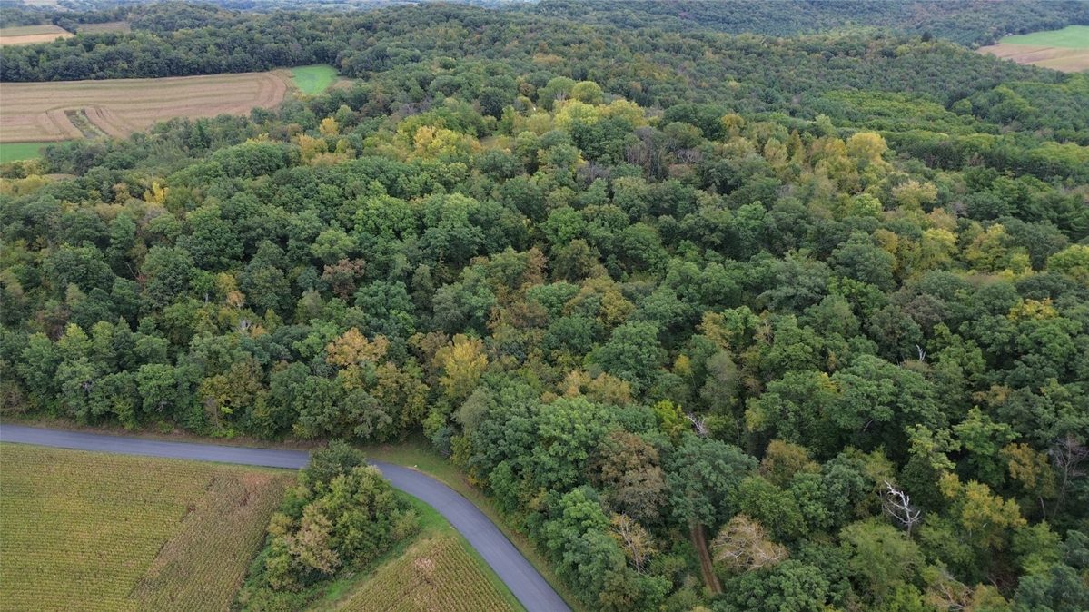S828 Julson Ridge Road, Independence WI 54747 - Land house for sale - MLS #1605005 - image32