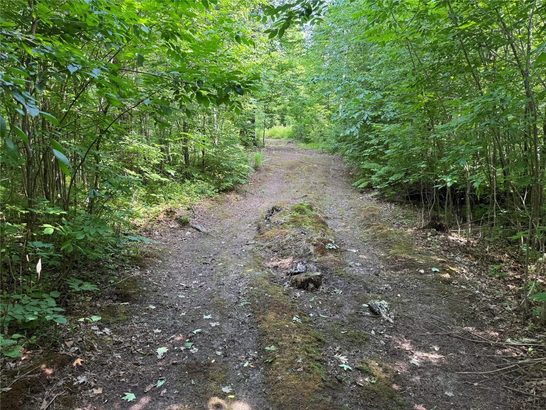 XXX Eckel Lane, Couderay WI 54835 - Land house for sale - MLS #1603143 - image33