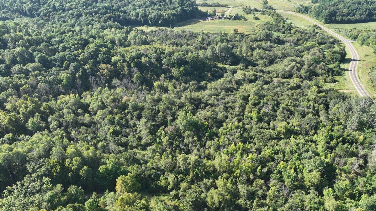 XX County Road O, Boyceville WI 54725 - Land house for sale - MLS #1604881 - image7