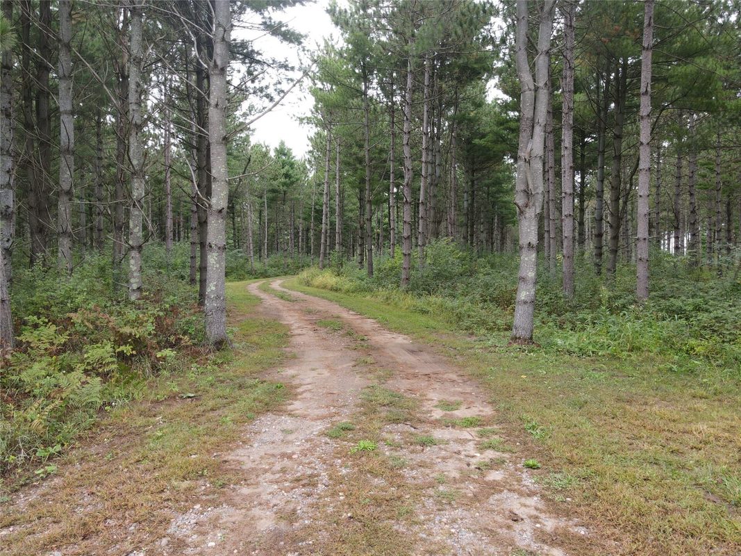 2736 7th Avenue, Chetek WI 54728 - Land house for sale - MLS #1605307 - image14