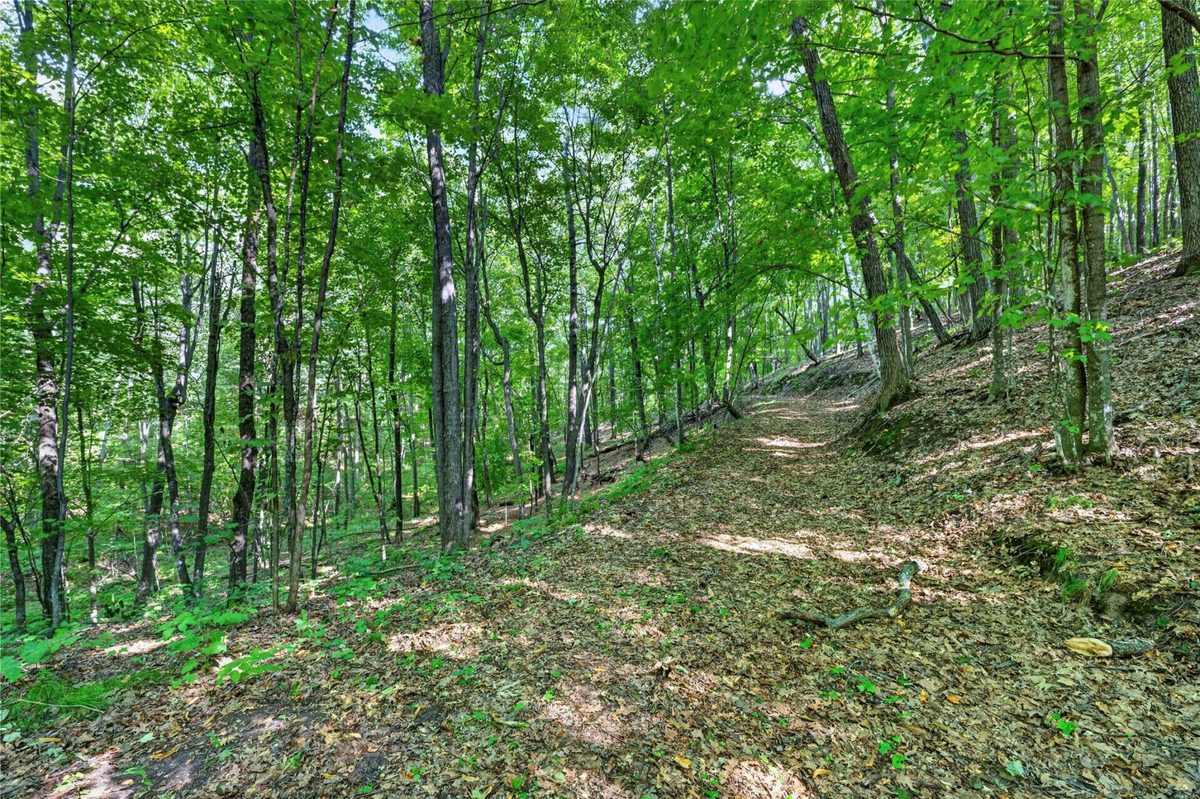 XXX County Hwy B, Shell Lake WI 54871 - Residential house for sale - MLS #1604550 - image17