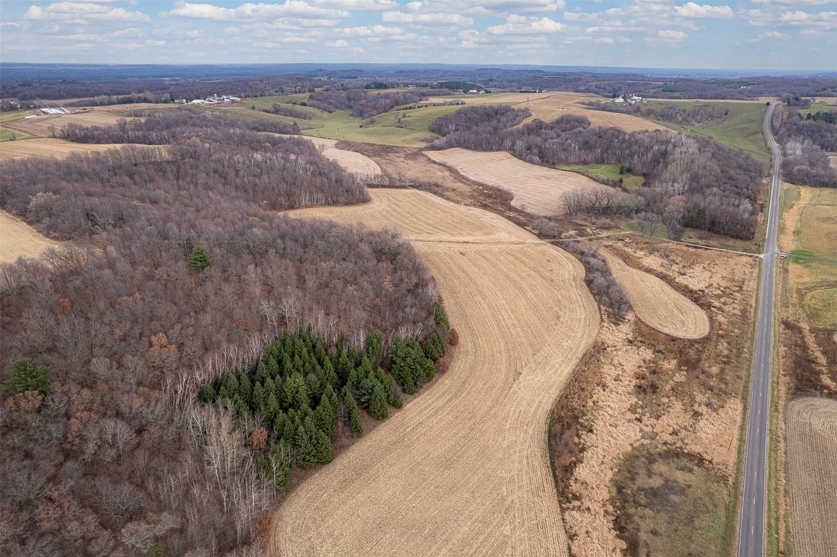 8700 Otter Creek Road, Fall Creek WI 54742 - Land house for sale - MLS #1602481 - image11