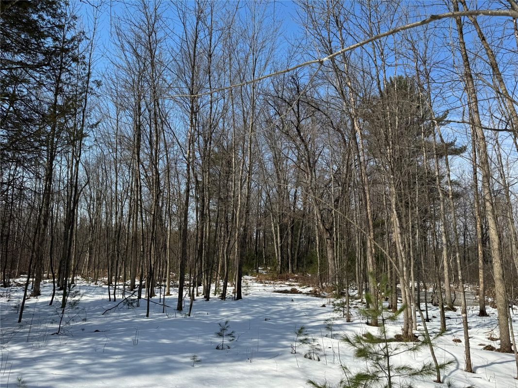 Land at OOO LAKE RD, Clintonville, WI 54929 — photo 9