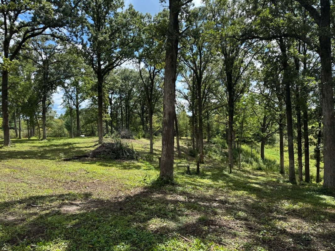 Lot 28 21st Street, Rice Lake WI 54868 - Land house for sale - MLS #1603229 - image14