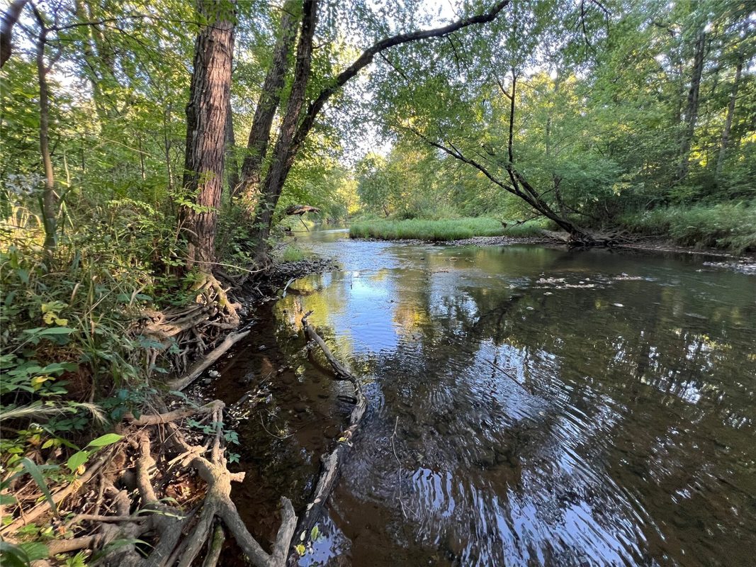 W10712 Popple River Road, Thorp WI 54771 - Land house for sale - MLS #1605082 - image3