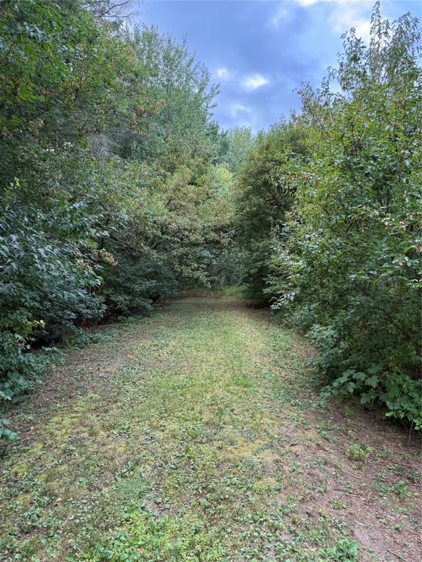 5956 County Hwy H, Stanley WI 54768 - Land house for sale - MLS #1604622 - image5
