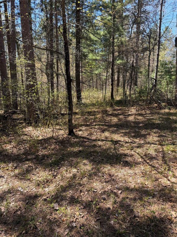 2395 Island Lake Road, Barnes WI 54873 - Land house for sale - MLS #1601454 - image10