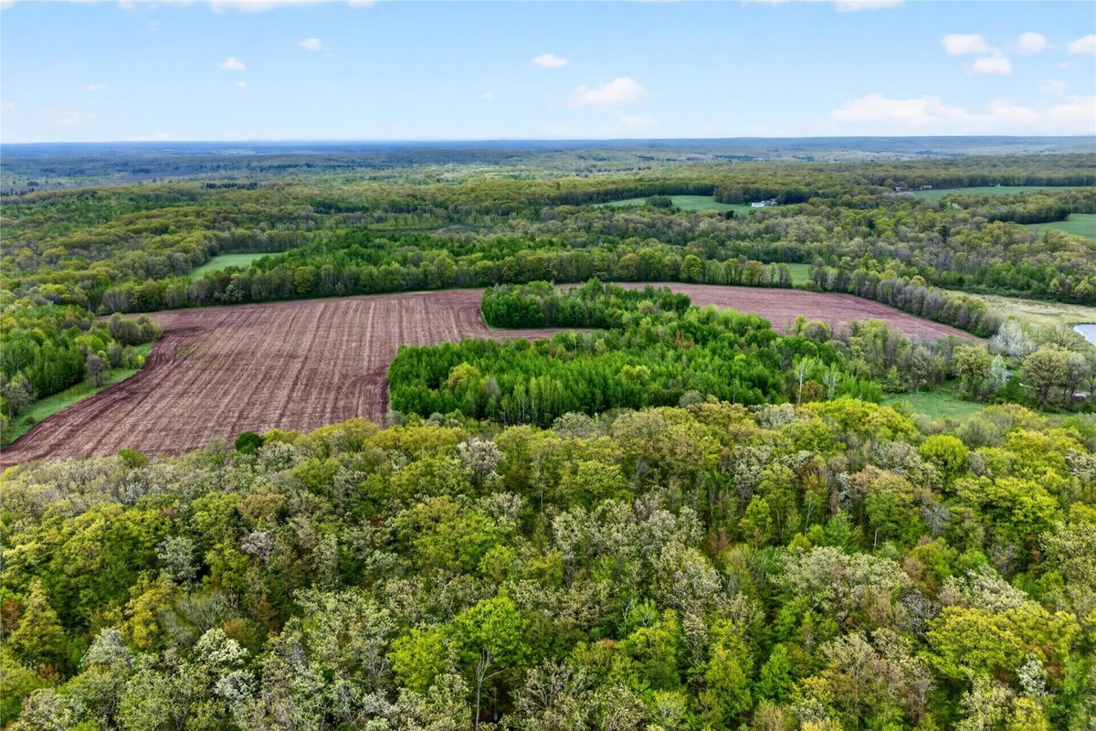 N8771 Fye Road, Trego WI 54888 - Residential house for sale - MLS #1601610 - image32