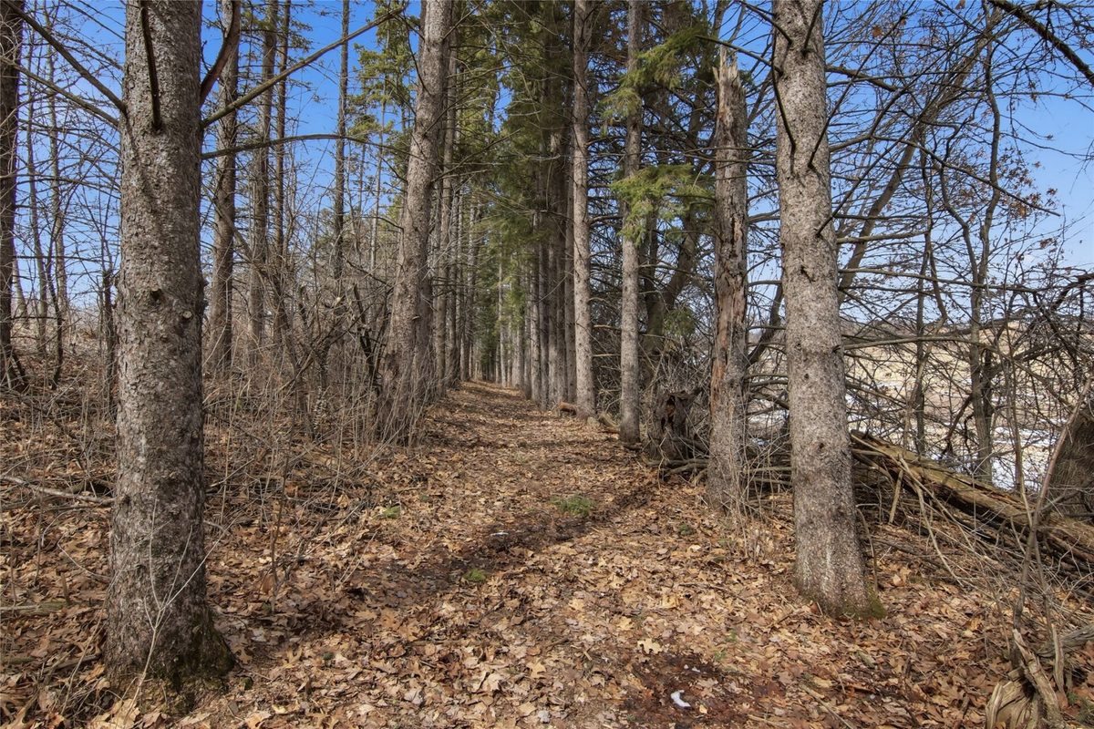 47838 Tower Road Strum WI 54770 — photo 28
