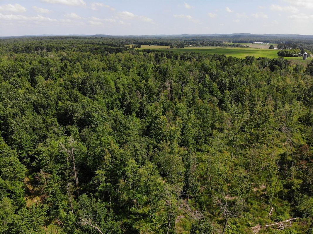 S11305 Kempton Road, Augusta WI 54722 - Land house for sale - MLS #1602723 - image5