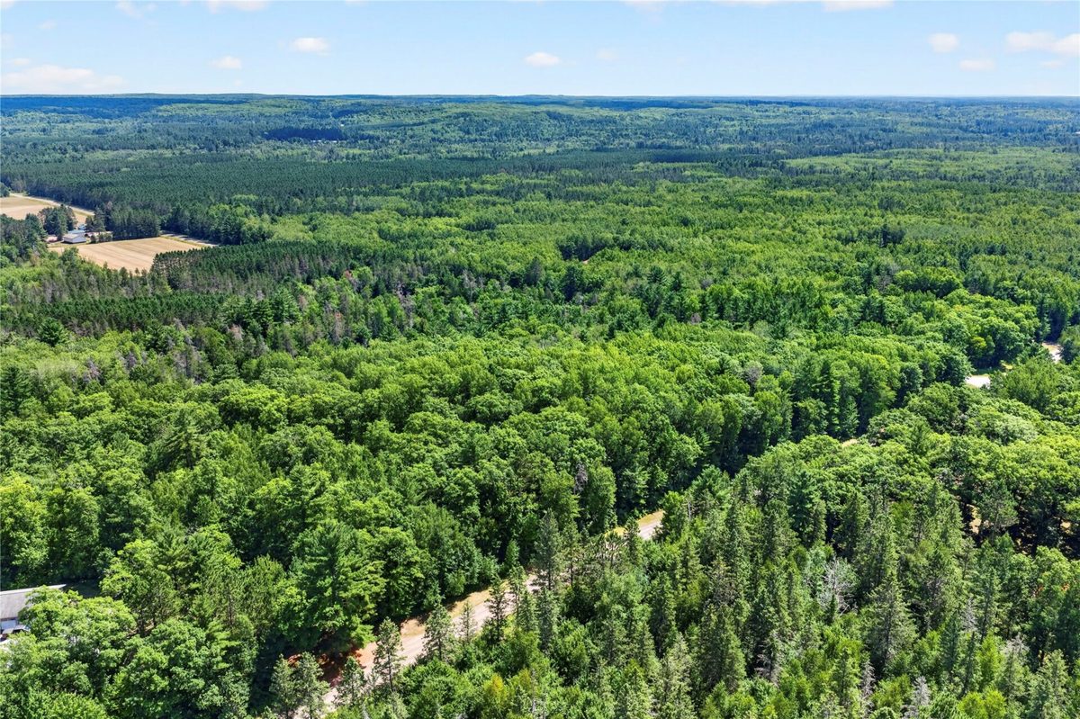Lot 1 Larsen Road, Hayward WI 54843 - Land house for sale - MLS #1605635 - image13