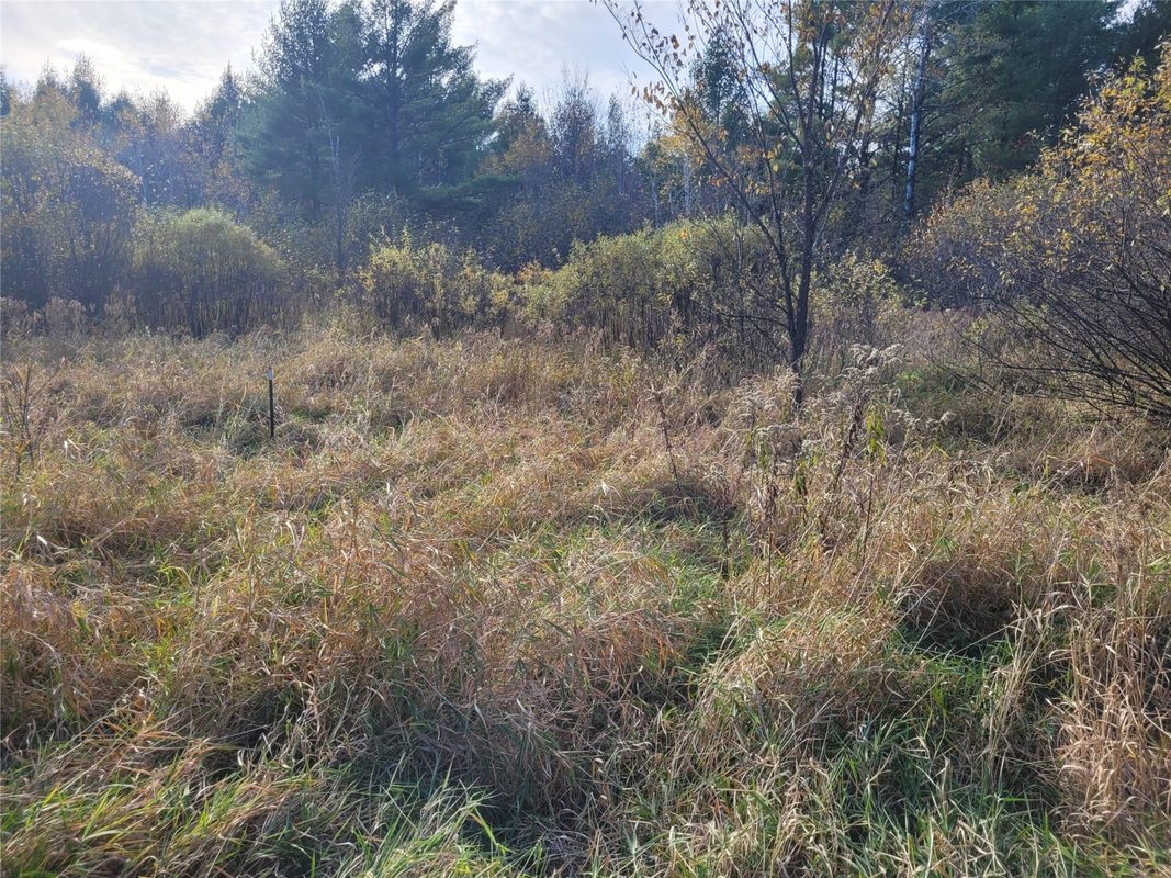 N10835 Kovar Road, Merrillan WI 54741 - Land house for sale - MLS #1606219 - image8