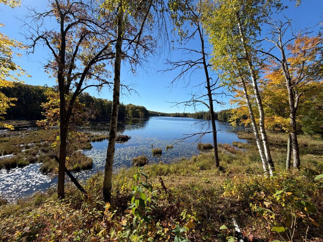 Lot 78, 79 Loons Landing Road, Weyerhaeuser WI 54895 - Land house for sale - MLS #1605876 - image9