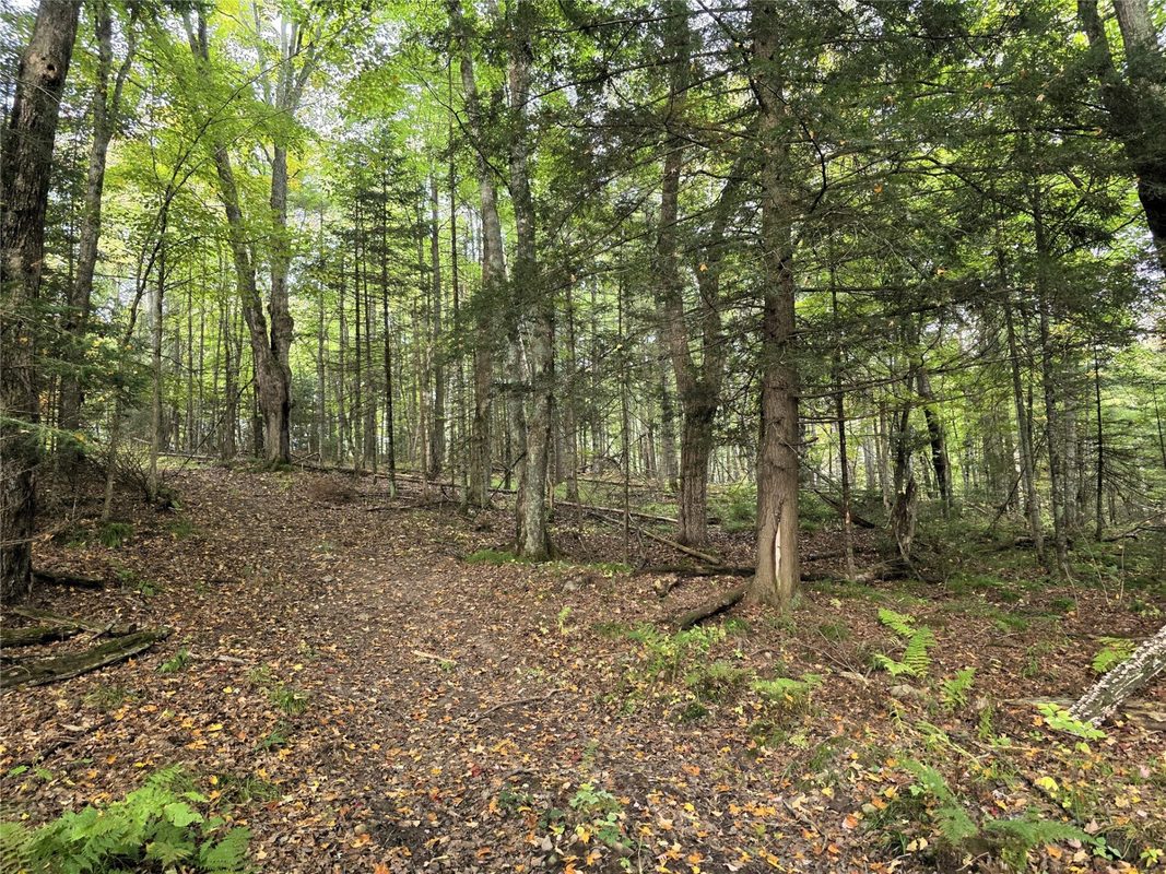 N 3368 Sawdust Rd., Bruce WI 54819 - Residential house for sale - MLS #1605552 - image27