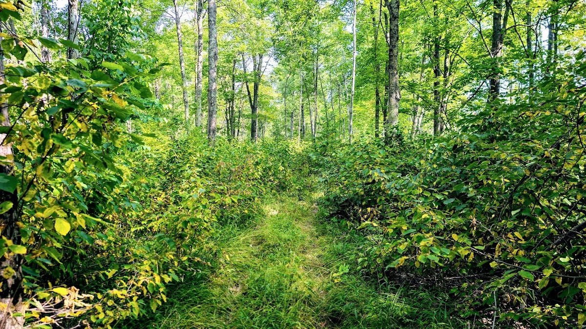 W8185 County Road J, Ladysmith WI 54848 - Land house for sale - MLS #1604406 - image36