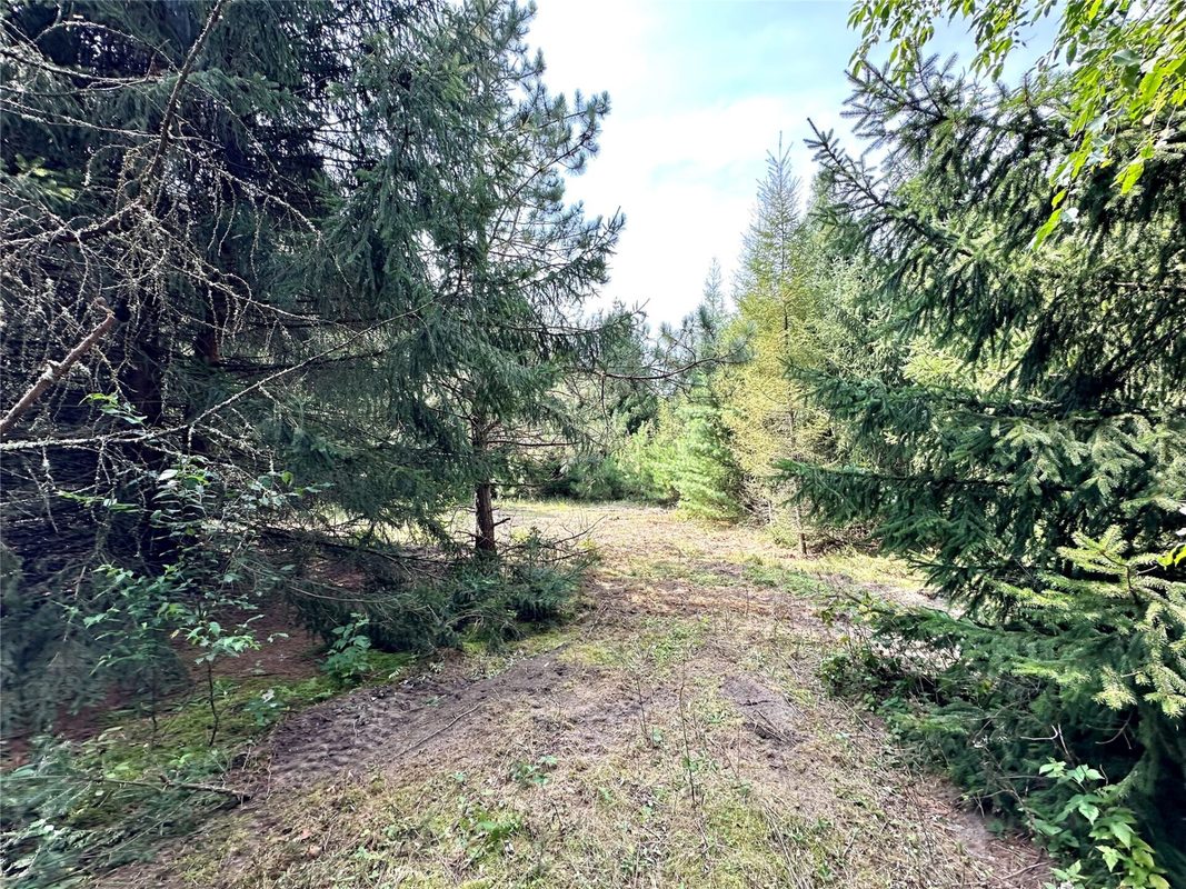 N9679 630th Street, Colfax WI 54730 - Land house for sale - MLS #1604625 - image16