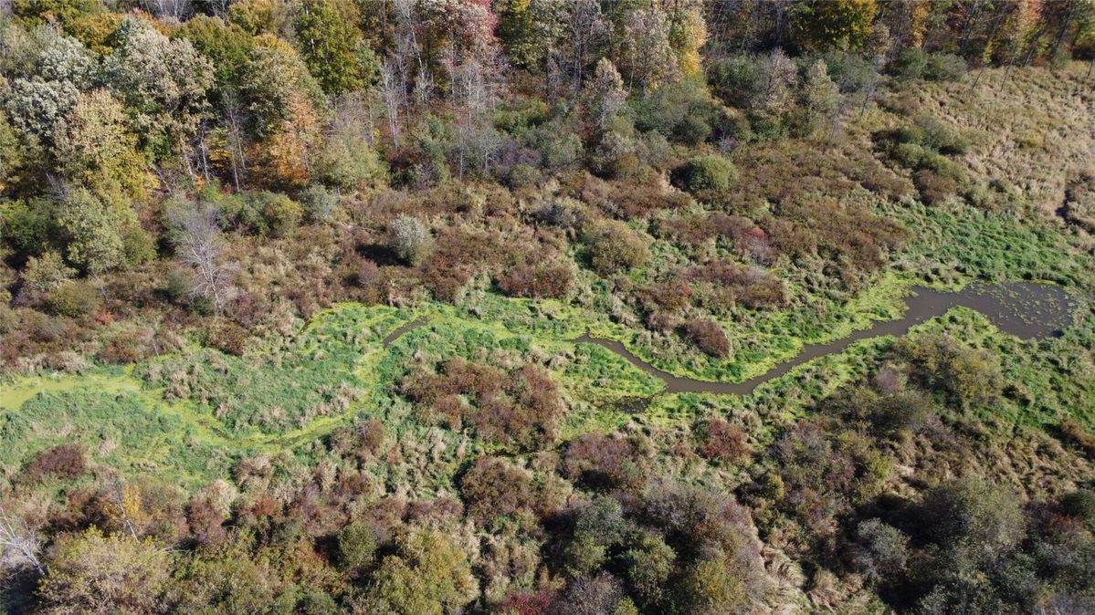 OOO Richfield Wood Road, Arpin WI 54410 - Land house for sale - MLS #1605936 - image17