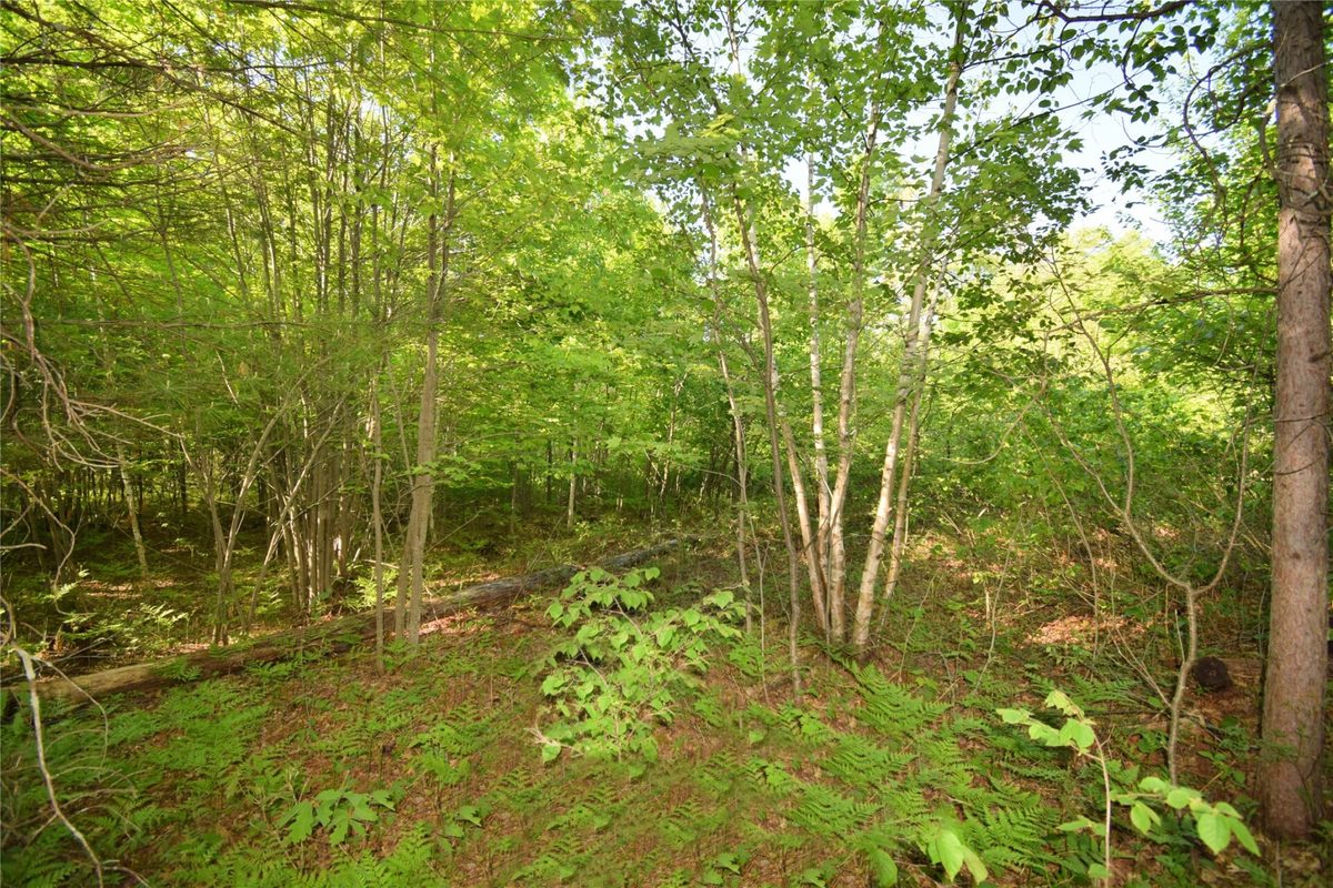 Lot 106 Setting Sun Court, Danbury WI 54830 - Land house for sale - MLS #1601808 - image17