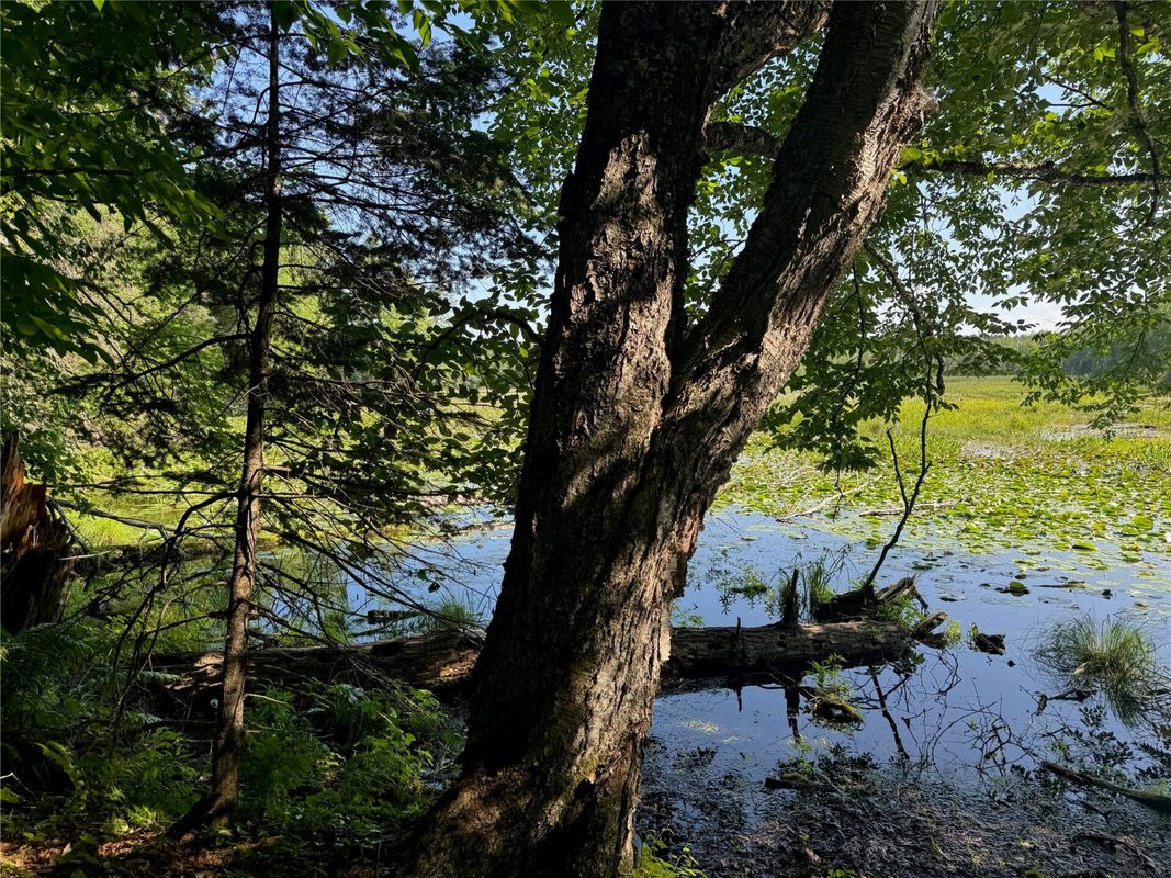 Lot 8 Crane Lane, Hayward WI 54843 - Land house for sale - MLS #1603375 - image30