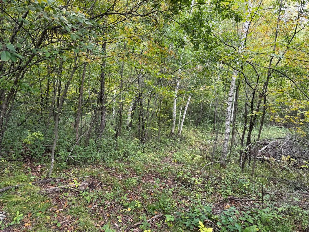 XXX 23 1/2 Street, Rice Lake WI 54868 - Land house for sale - MLS #1605312 - image9