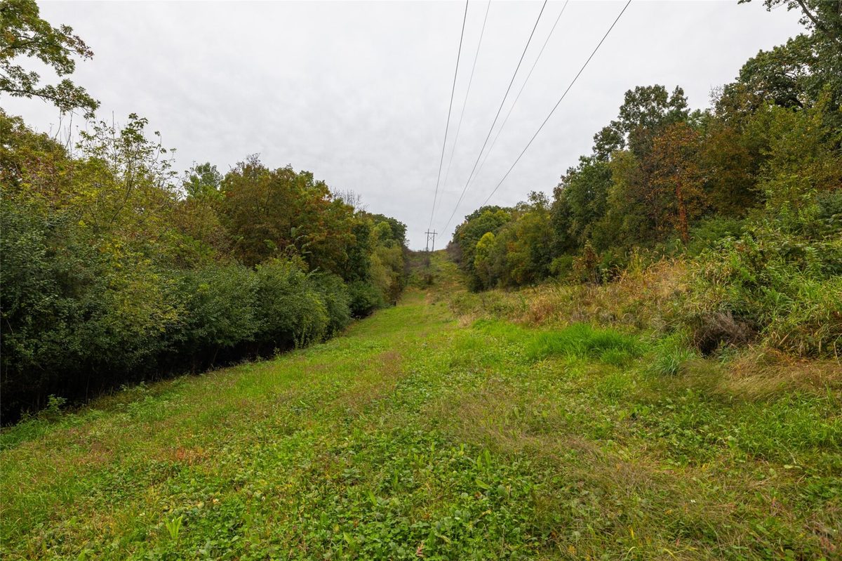 24657 Norway Valley Road  Arcadia WI 54612 - image11
