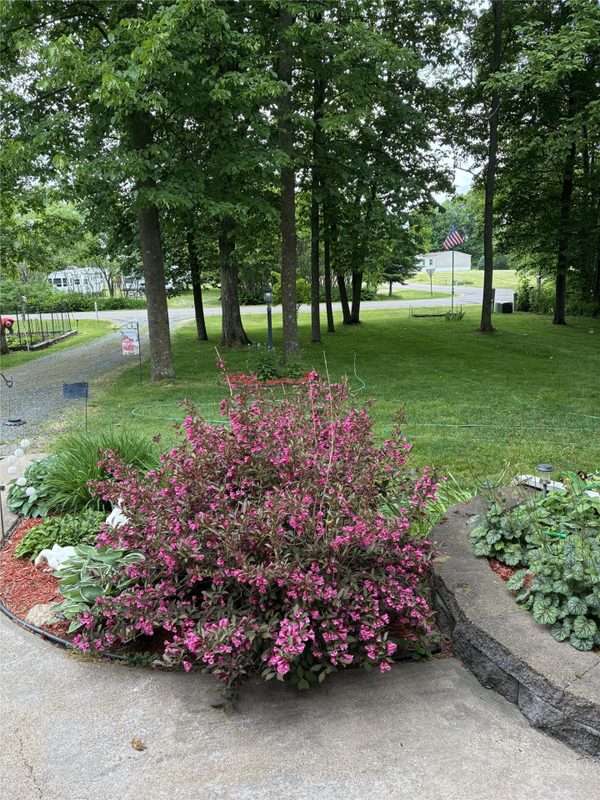 29308 305th Avenue, Holcombe WI 54745 - Residential house for sale - MLS #1604129 - image40