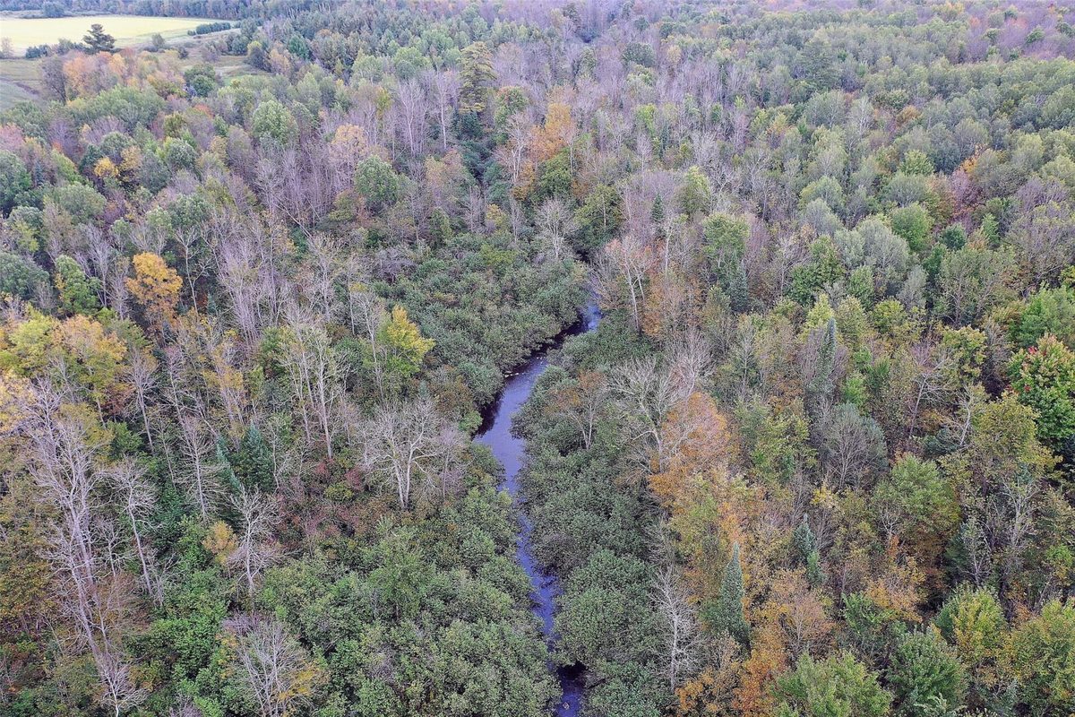 3621 Town Line Road, Glen Flora WI 54526 - Residential house for sale - MLS #1606236 - image11